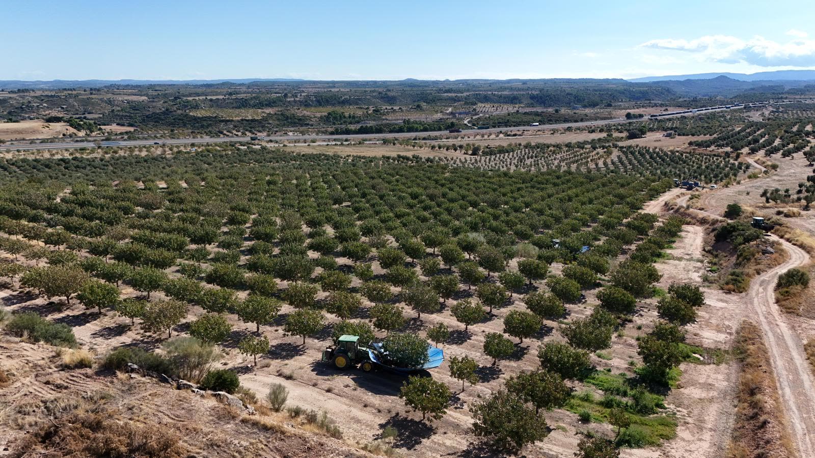 Tractor con paraguas vibrador