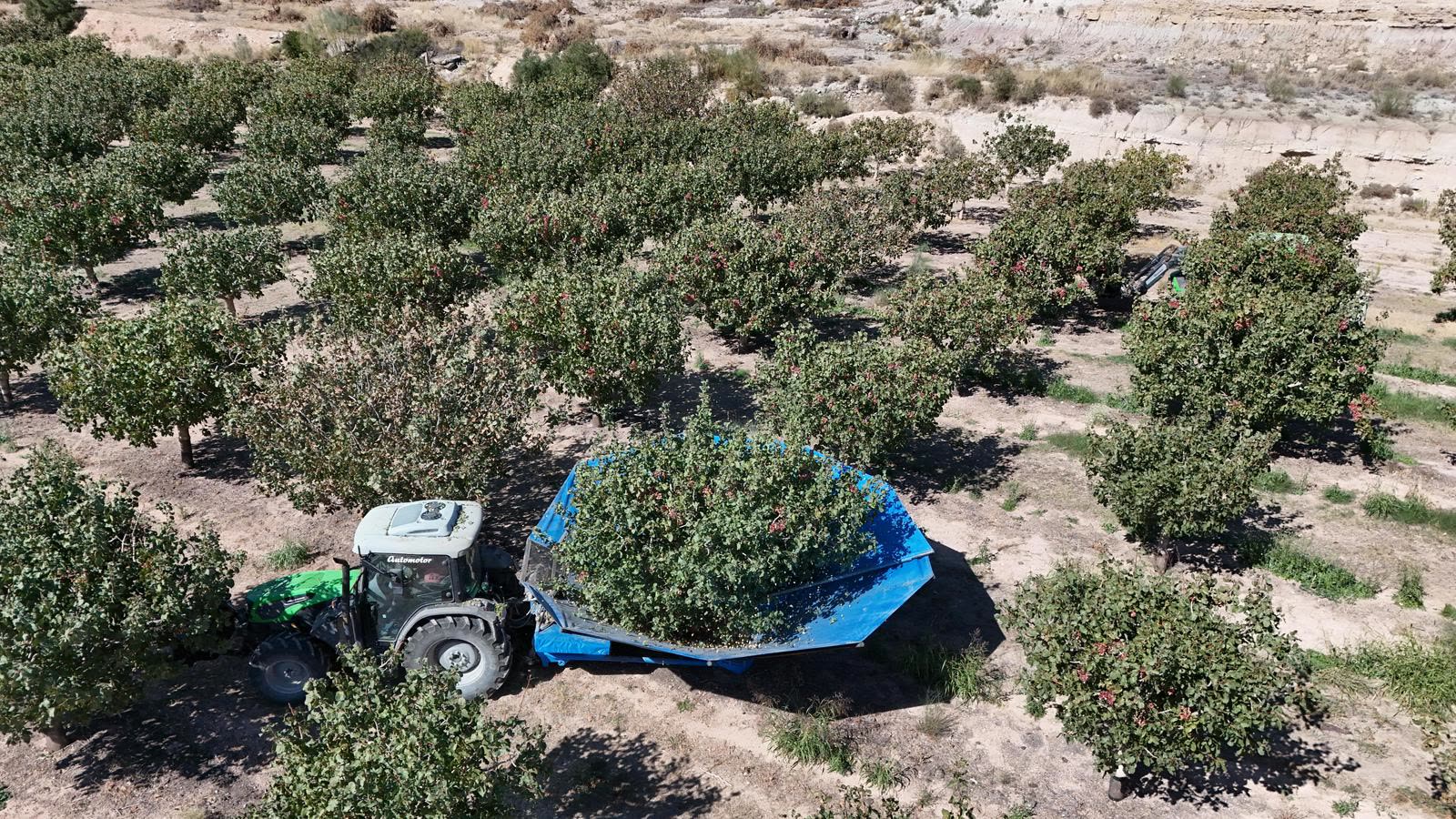 Recolección — vista general